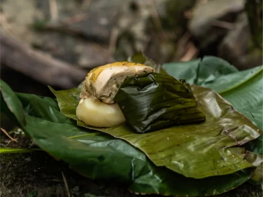 Tamal Car